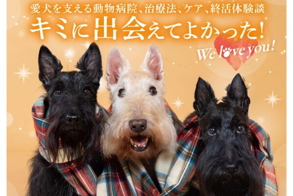 ＼11月15日（土）発売！わんハートVol.22／〜愛犬を支えるどうぶつ病院、治療法、ケア、終活体験談〜キミに出会えてよかった！
